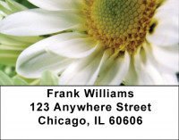 Daisies On Green Address Labels | LBZFLO-14