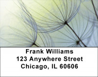 Dandelion Address Labels | LBZFLO-15