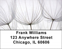Dandelion Address Labels | LBZFLO-15