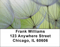 Dandelion Address Labels | LBZFLO-15