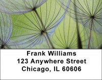 Dandelion Address Labels | LBZFLO-15