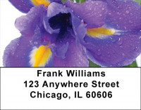 Delightful Days Address Labels | LBZFLO-16