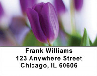 Delightful Days Address Labels | LBZFLO-16