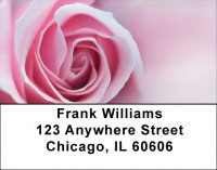 Delightful Days Address Labels | LBZFLO-16