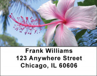 Hibiscus Address Labels | LBZFLO-19