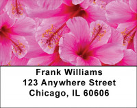 Hibiscus Address Labels | LBZFLO-19