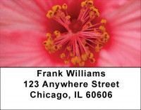 Hibiscus Address Labels | LBZFLO-19