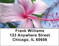 Hibiscus Address Labels | LBZFLO-19