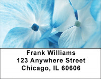 Hydrangea Address Labels | LBZFLO-20