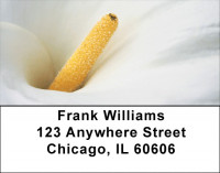 Calla Lilies Address Labels | LBZFLO-23