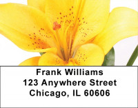 Day Lilies Address Labels | LBZFLO-24