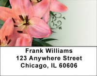 Day Lilies Delight Address Labels | LBZFLO-25
