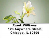 Easter Lilies Address Labels | LBZFLO-26