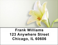 Easter Lilies Address Labels | LBZFLO-26
