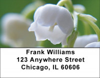 Lilly Of The Valley Address Labels | LBZFLO-27