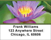 Water Lilies Address Labels | LBZFLO-28