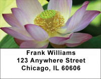 Lotus Rainbow Address Labels | LBZFLO-29