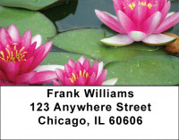 Lotus Rainbow Address Labels | LBZFLO-29