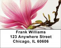 Magnolia Address Labels | LBZFLO-30