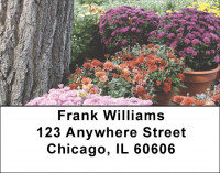 Colorful Fall Mums Address Labels | LBZFLO-31