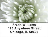 Lacy Mums Address Labels | LBZFLO-32