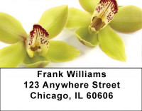 Tropical Orchids Address Labels | LBZFLO-34