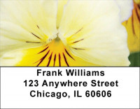 Pansy Parade Address Labels | LBZFLO-36