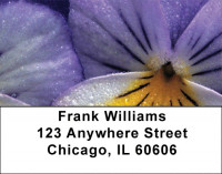 Pansy Parade Address Labels | LBZFLO-36
