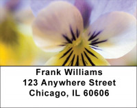 Playful Pansies Address Labels | LBZFLO-37