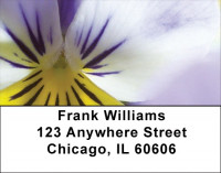 Playful Pansies Address Labels | LBZFLO-37