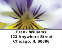 Playful Pansies Address Labels | LBZFLO-37