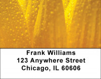 Dewey Colors Address Labels | LBZFLO-38
