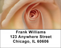 Peach Roses Address Labels | LBZFLO-39