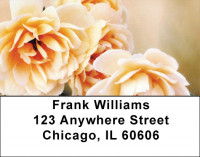 Peach Roses Address Labels | LBZFLO-39