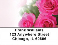 Pink Roses Address Labels | LBZFLO-40