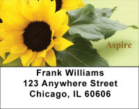 Day Brighteners Address Labels | LBZFLO-43