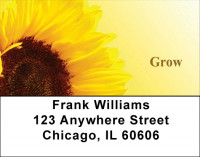 Day Brighteners Address Labels | LBZFLO-43