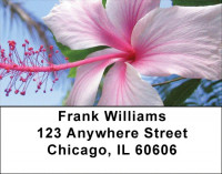 Tropical Floral Favorites Address Labels | LBZFLO-44