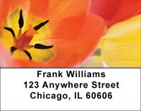Tulip Temptations Address Labels | LBZFLO-45