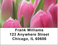 Tulip Temptations Address Labels | LBZFLO-45