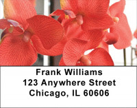 Colors On Fire Address Labels | LBZFLO-47