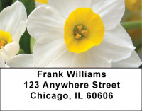 Colors On Fire Address Labels | LBZFLO-47