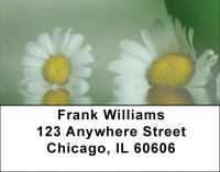 Green Zen Address Labels | LBZFLO-48