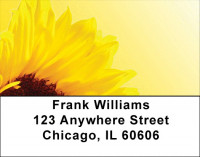Mellow Yellow Address Labels | LBZFLO-49