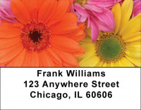 Rainbow Garden Address Labels | LBZFLO-51
