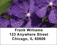 Rainbow Garden Address Labels | LBZFLO-51