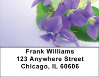 Violets Address Labels | LBZFLO-53
