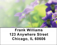 Violets Address Labels | LBZFLO-53