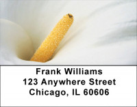 Wonder In White Address Labels | LBZFLO-54