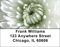 Wonder In White Address Labels | LBZFLO-54